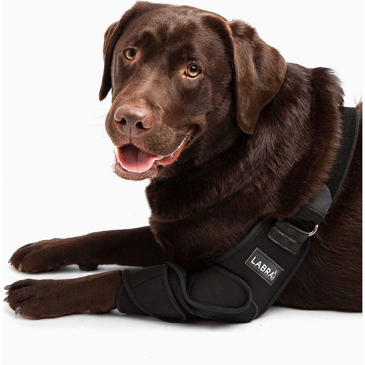 Dog Shoulder Elbow Brace Leg Wrap I5648