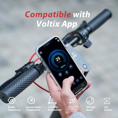 1000W Electric Scooter with 10" Off-Road Tires O24513