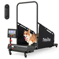 Dog Treadmill X760822