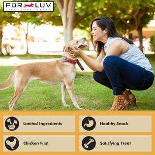 Real Chicken Jerky Dog Treats X6857