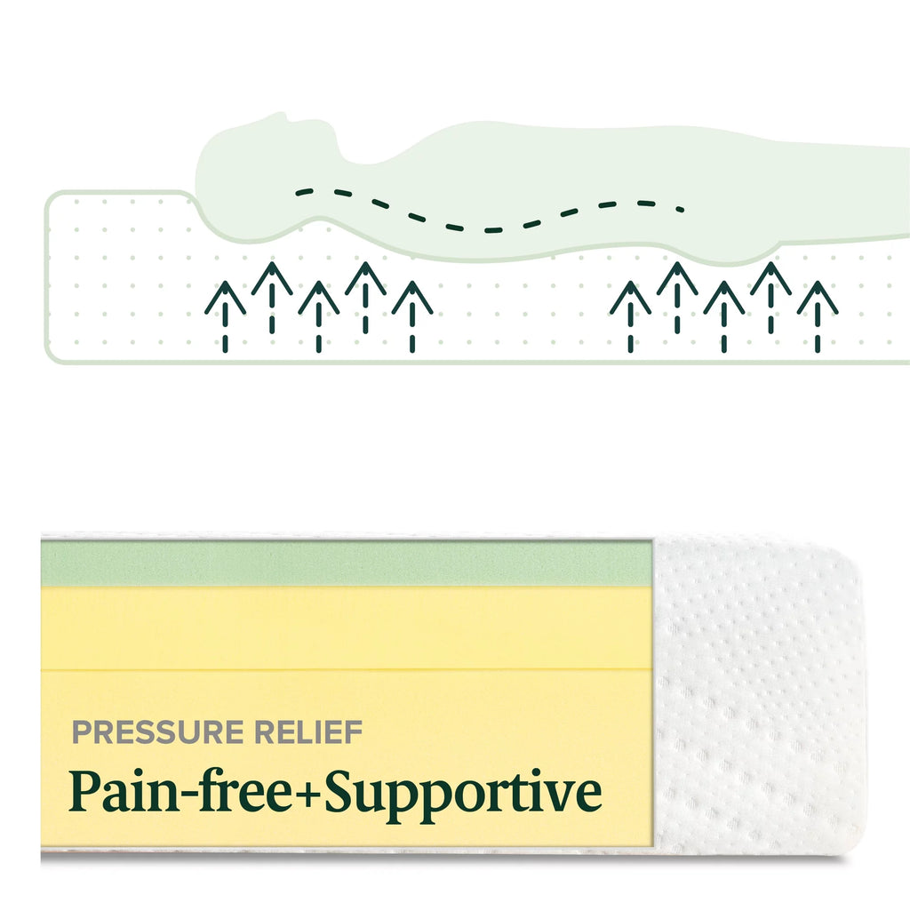 8 Green Tea Memory Foam Mattress Queen A253