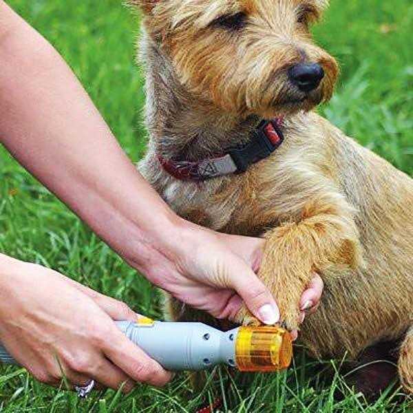 Pet Nail Trimmer L5899
