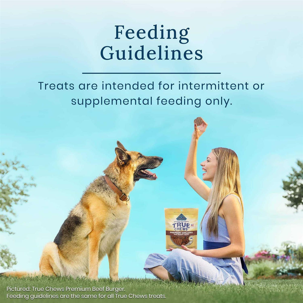 Chicken Apple Sausage Dog Treats Q635