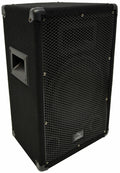 10 inch Passive 300W 2-Way PA Speaker A743