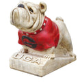 Bulldog College Mascot 14in Statue A233217