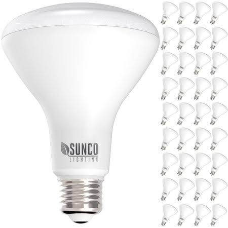 36 Pack Dimmable BR30 LED Flood Light Bulb C530668