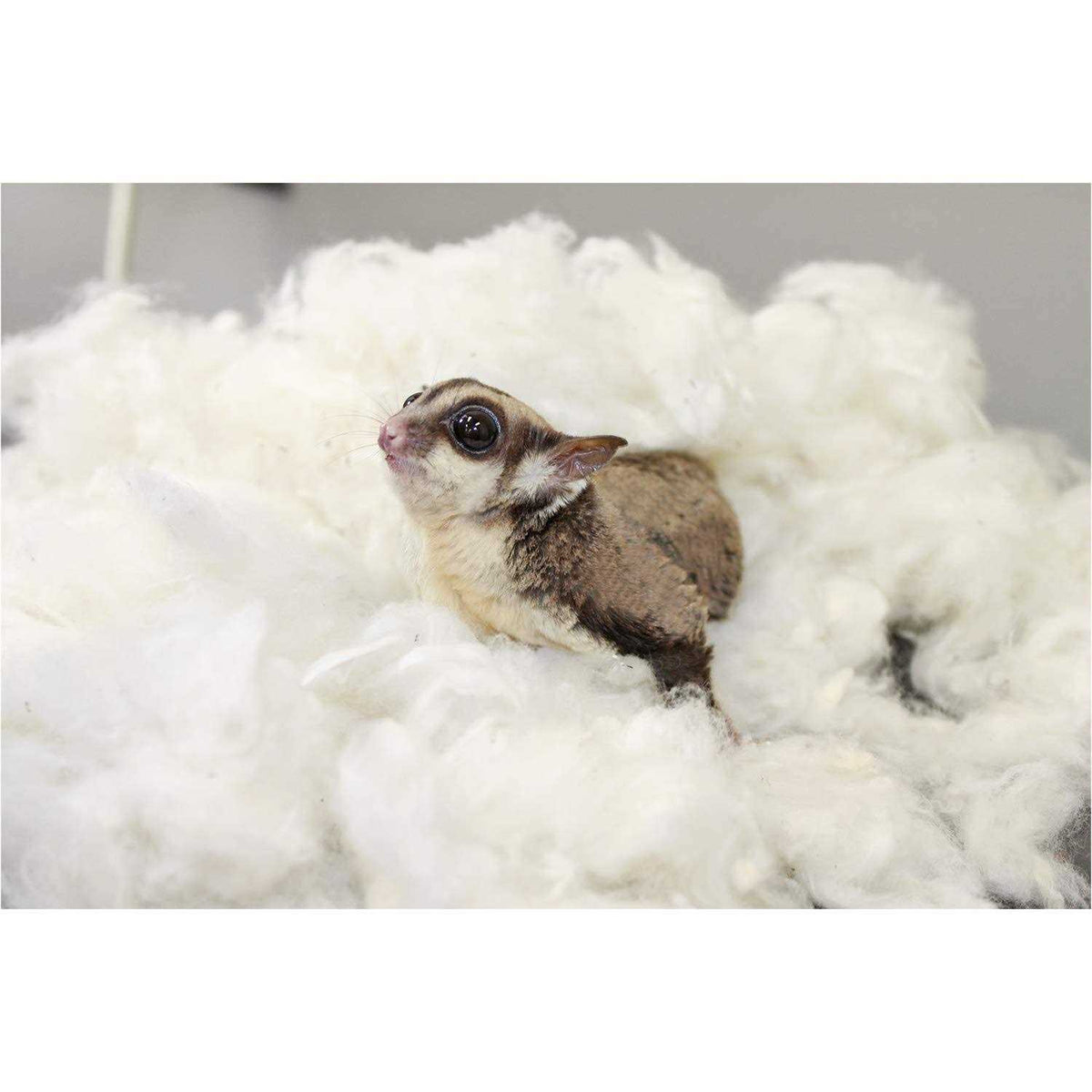 100% Cotton Animal Bedding C559