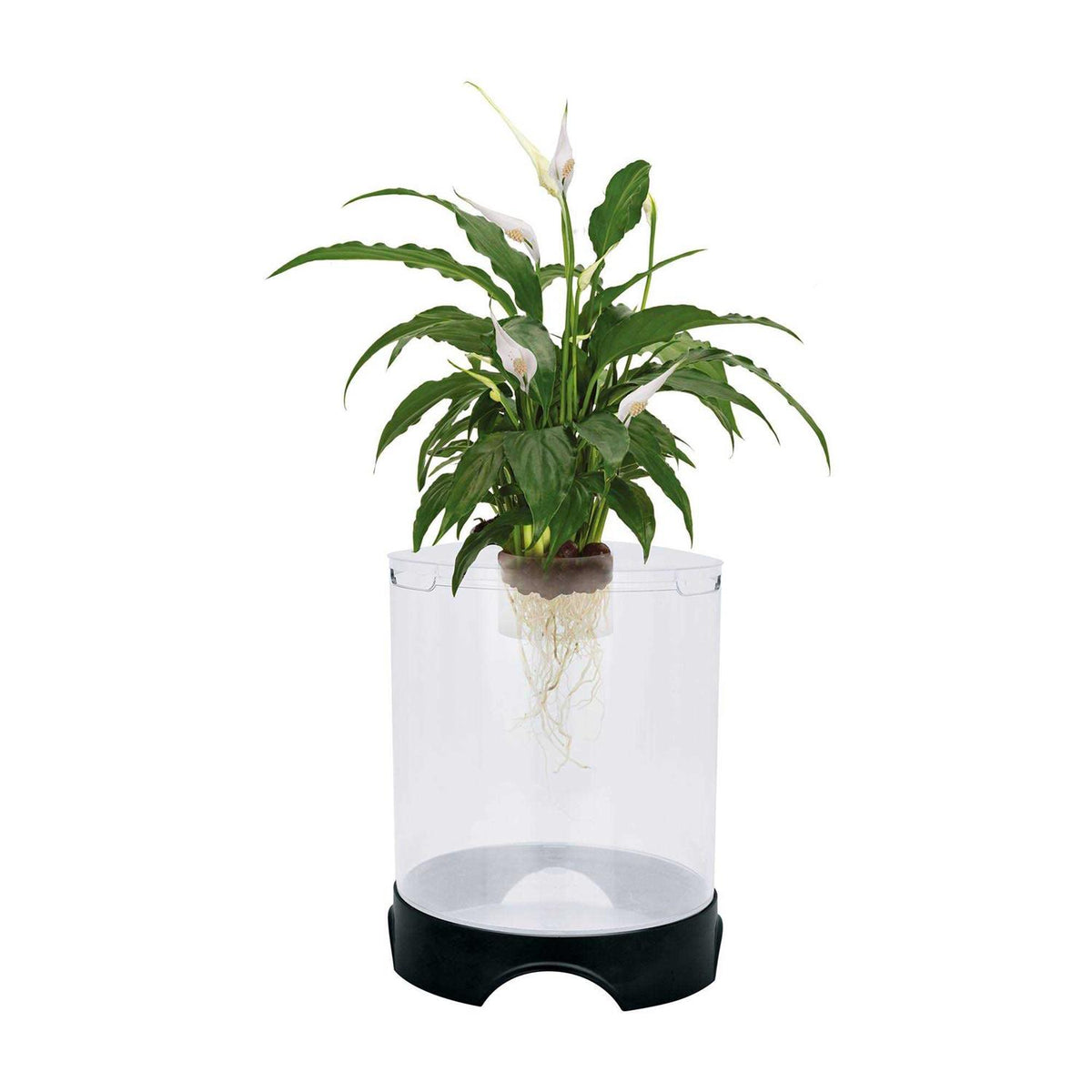 Aquaponic Planter and Aquarium for Betta Fish W102385