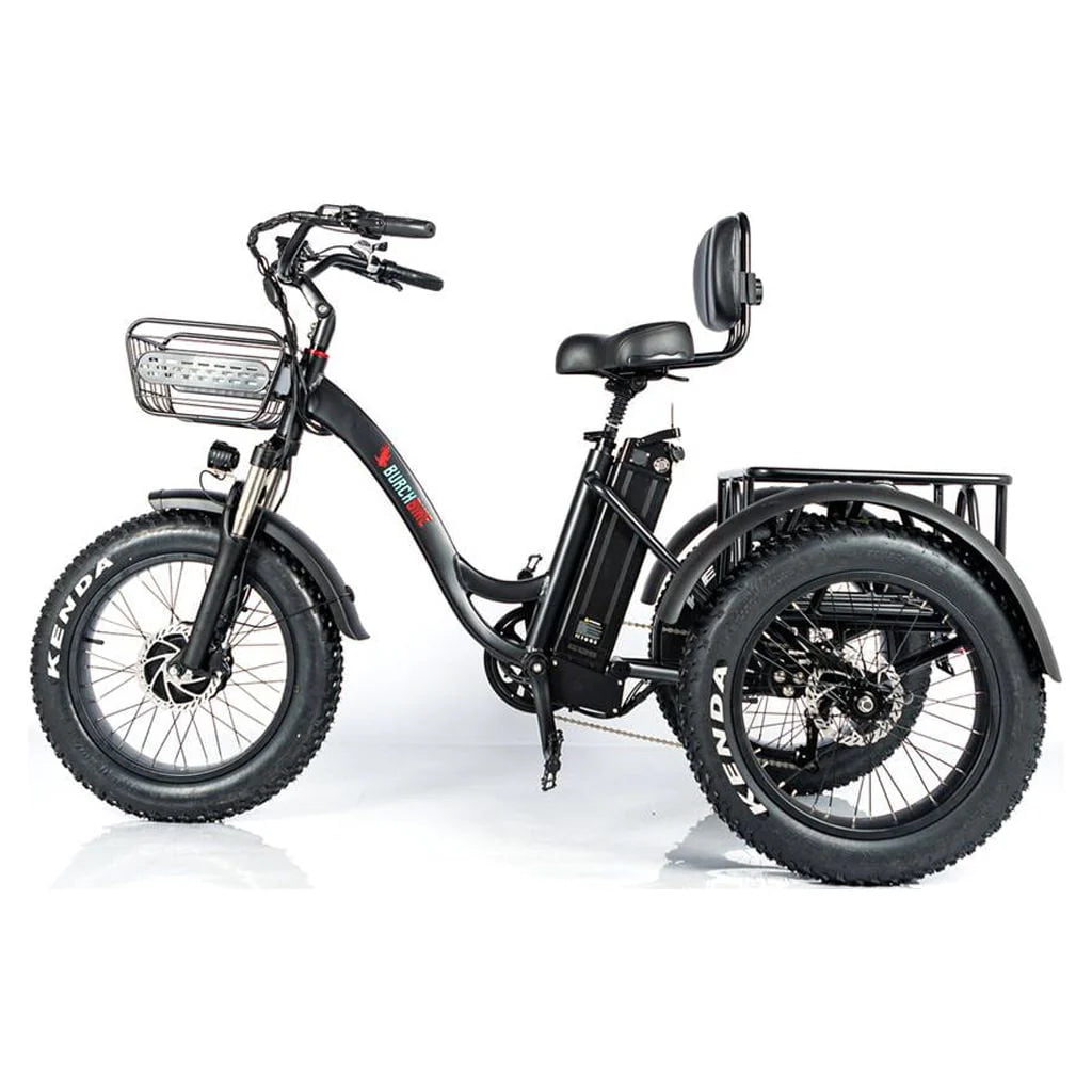 24 Inch Fat Tire 3 Wheel Electric Tricycle G536