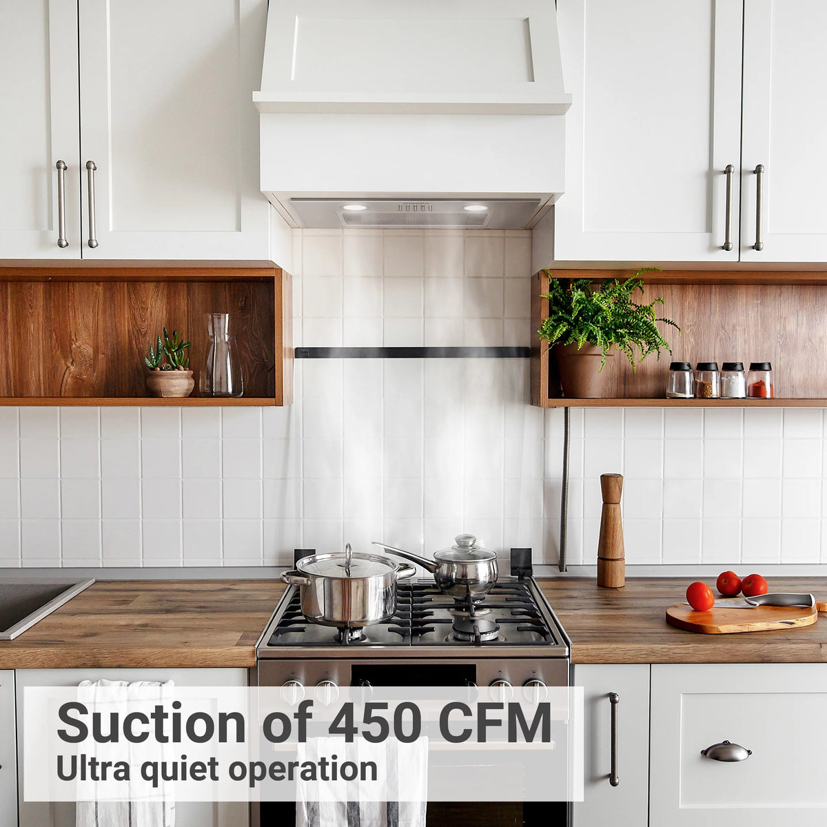 20 inch 450 CFM Stainless Steel Insert Range Hood B711
