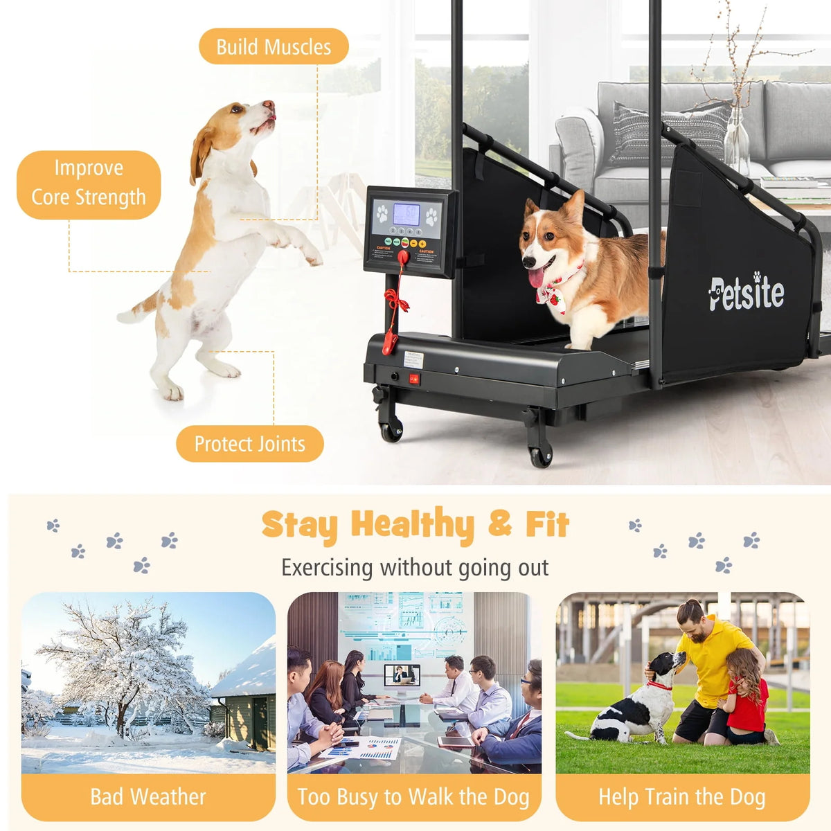 Dog Treadmill X760822