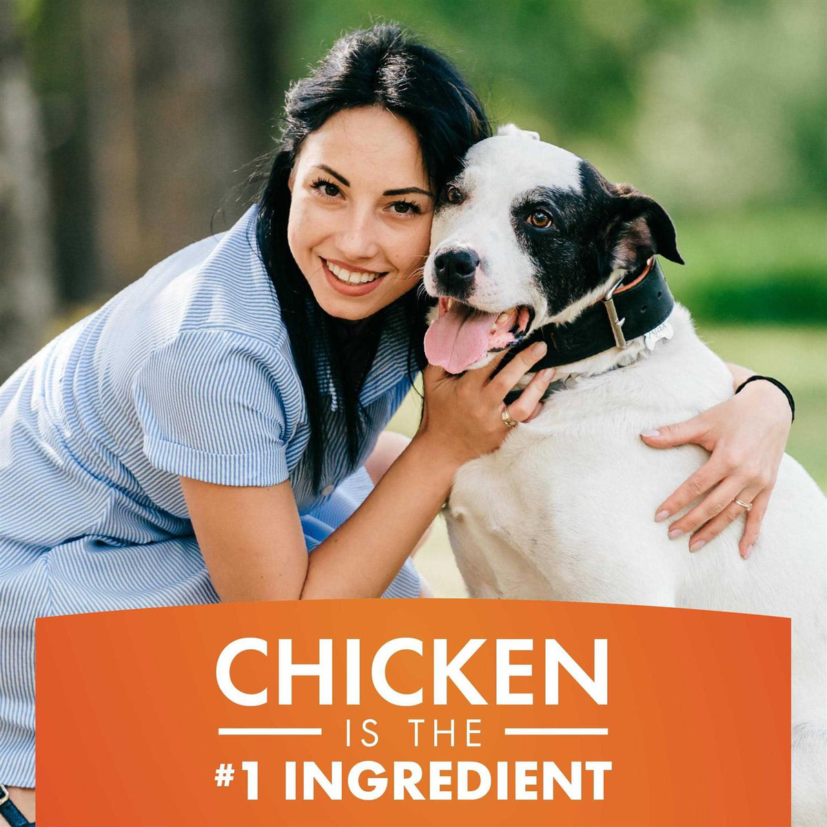 Real Chicken Jerky Dog Treats X6857