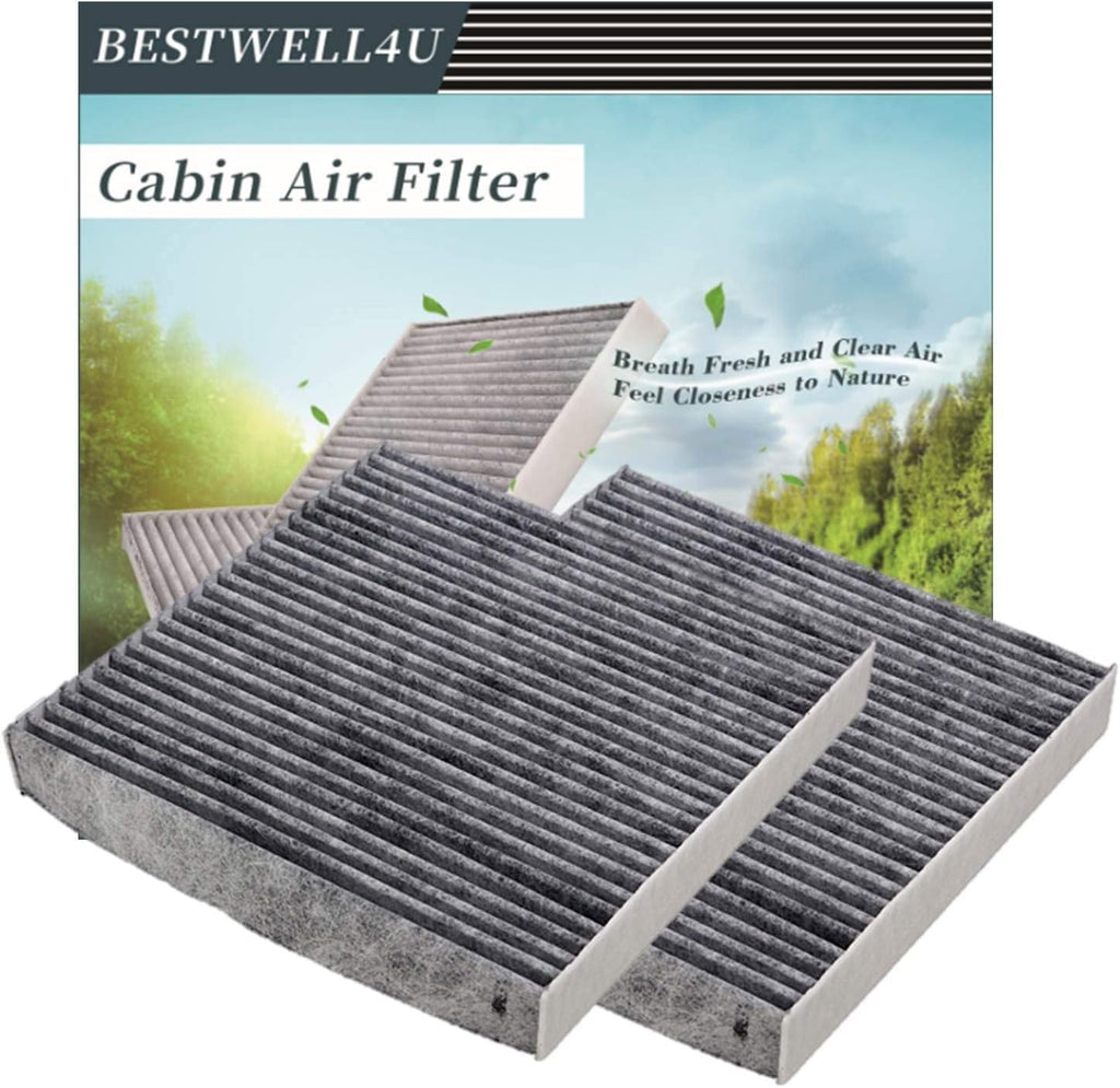 White Cabin Air Filter 2 Pack E110900