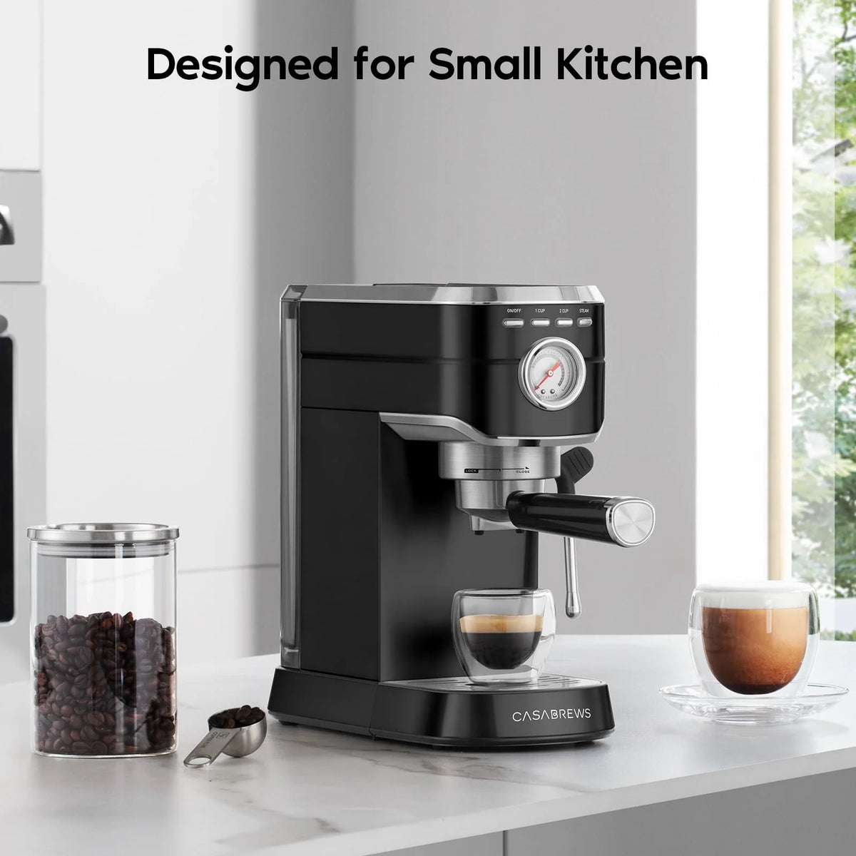 20 Bar Espresso Machine with Milk Frother Steam Wand, Stainless Steel F29421
