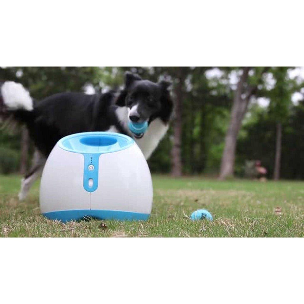 Interactive Ball Launcher Dog Toy M11083