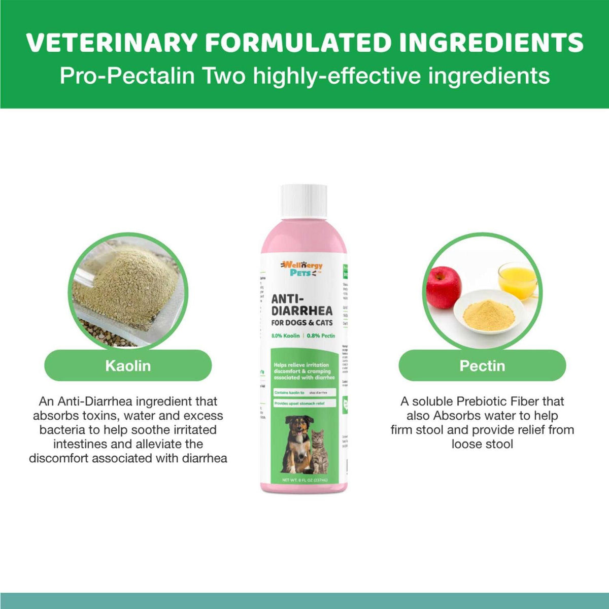 Anti-Diarrhea for Dogs and Cats with Syringe F7982
