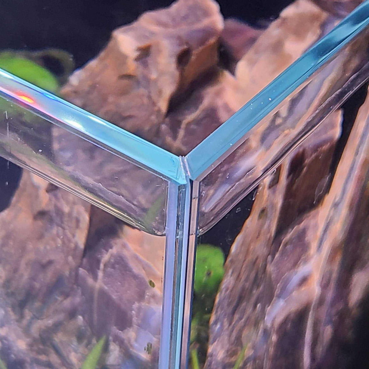 Low Iron Glass Aquarium with Filter R366048