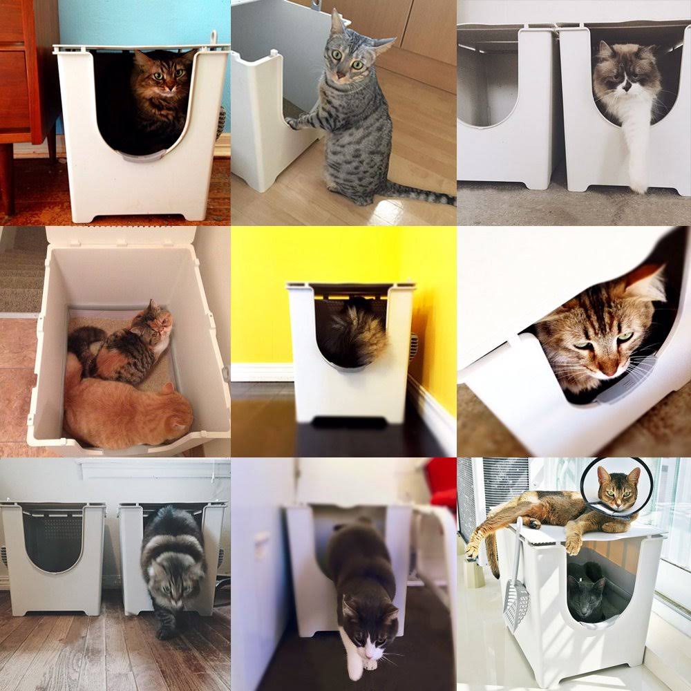Cat Litter Box H91555