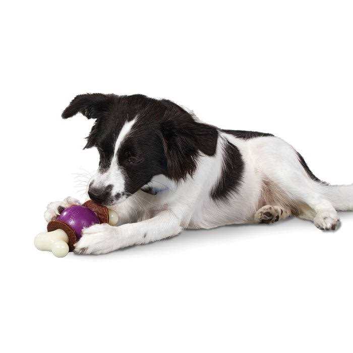 Bouncy Bone Pet Supplies W99005