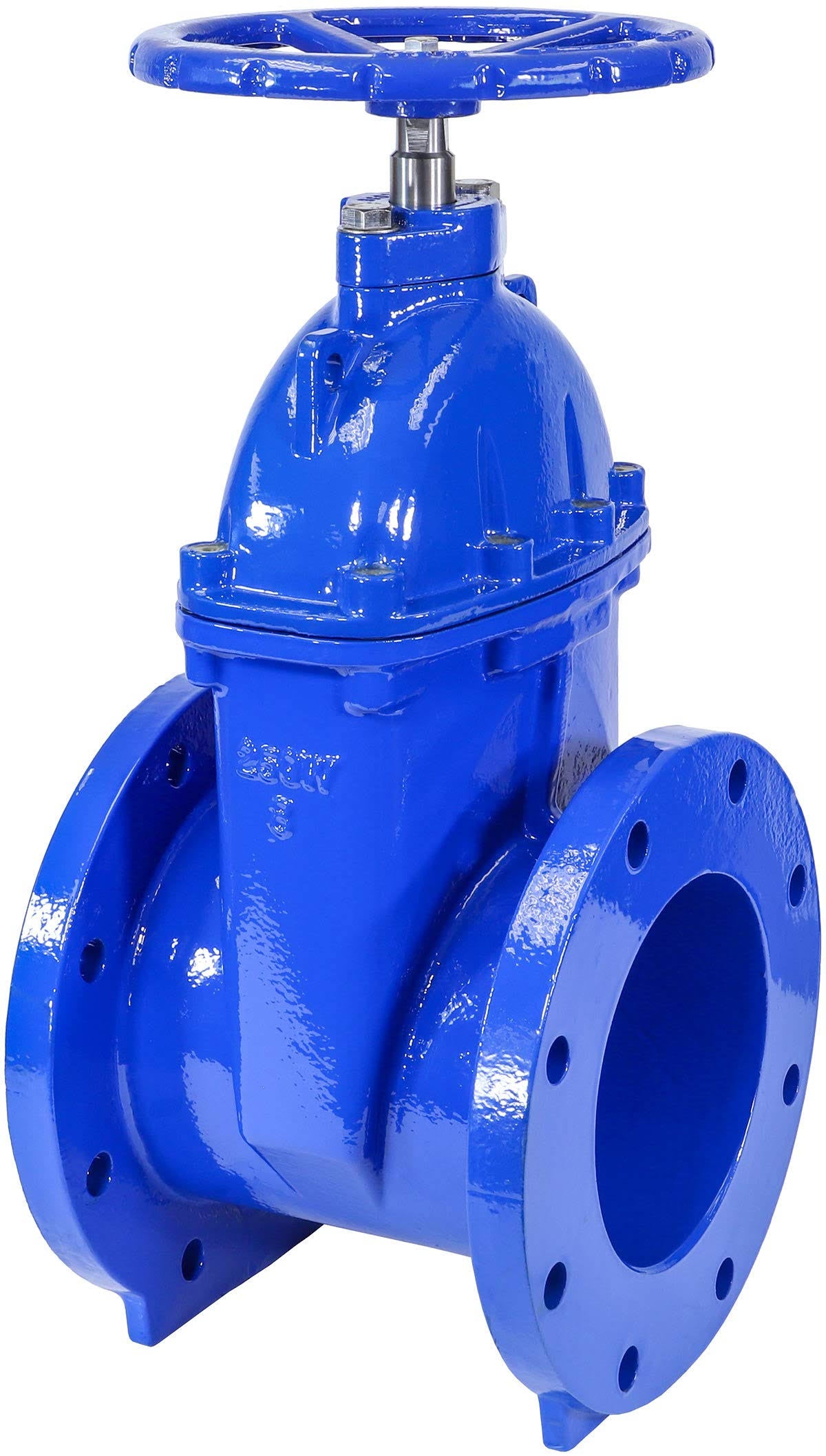 8x22 Cast Iron Gate Valve with Rubber Wedge J178702