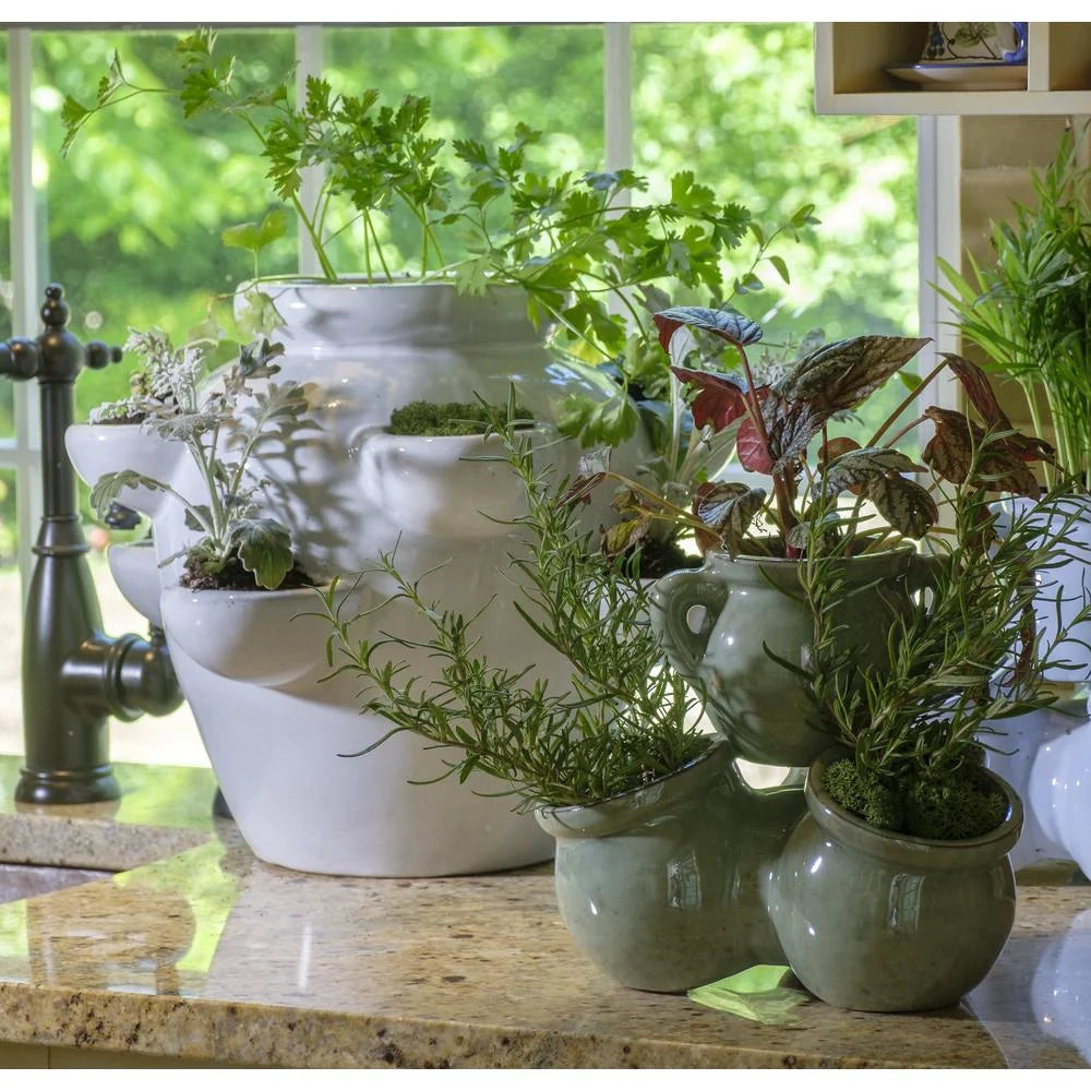 8 Pocket Ceramic Strawberry Planter in White T3233