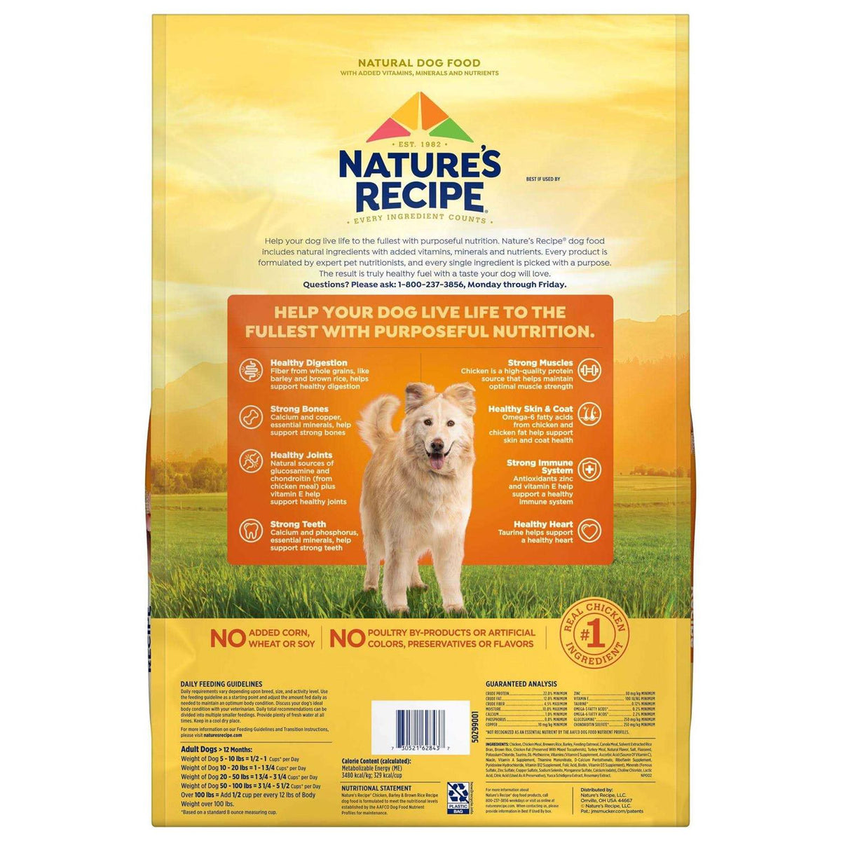 Chicken & Rice Dry Dog Food R617