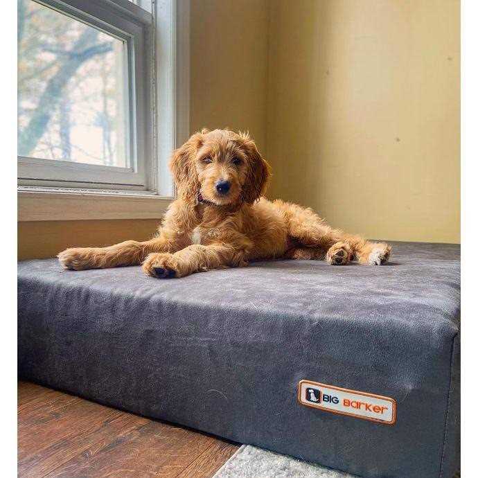Headrest Pillow Top Orthopedic Dog Bed C508800