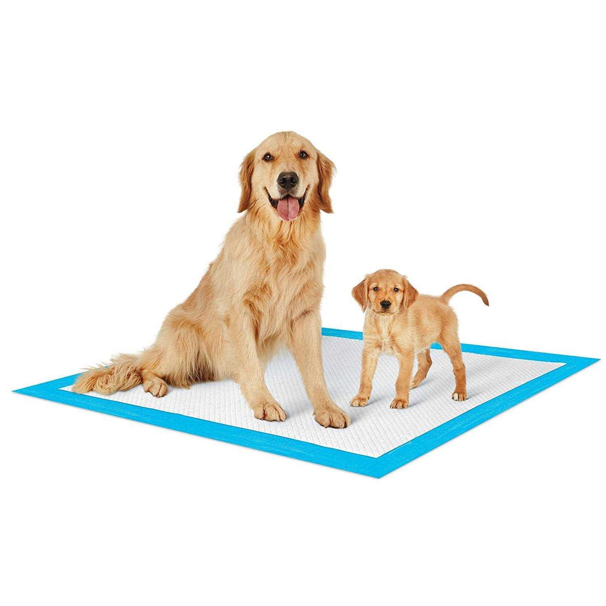 Extra Large Potty Pads for Dogs X251454