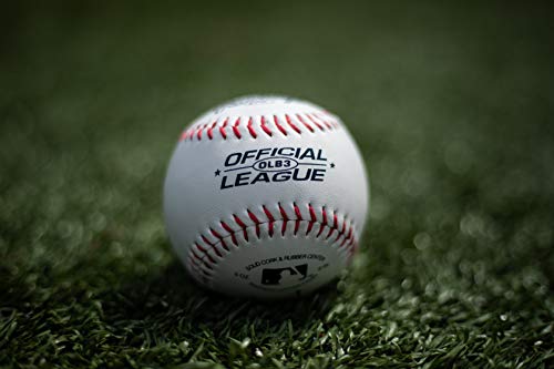 Practice Baseballs Bag of 12 R8154