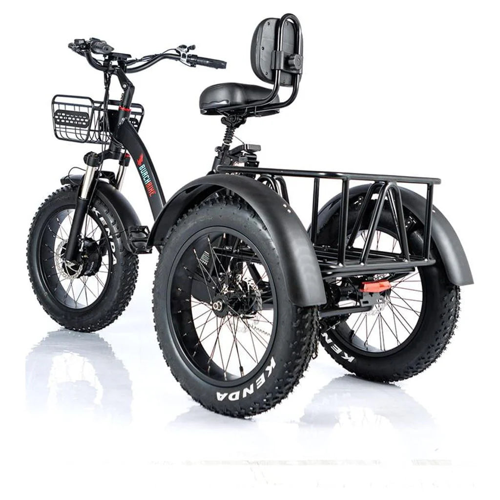 24 Inch Fat Tire 3 Wheel Electric Tricycle G536