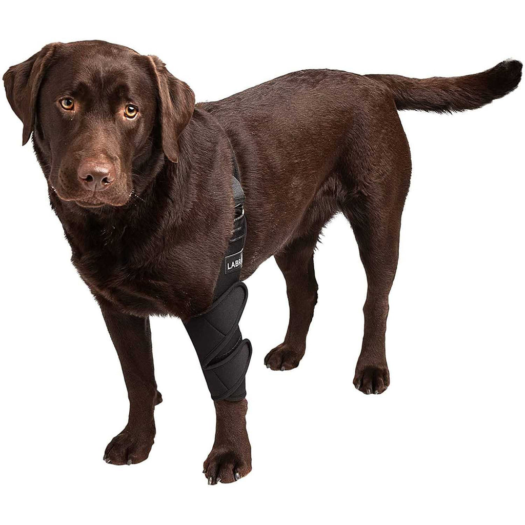 Dog Shoulder Elbow Brace Leg Wrap I5648