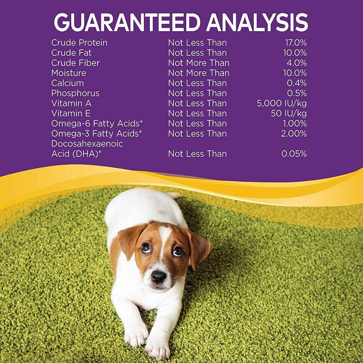 Dog Treats Y9993