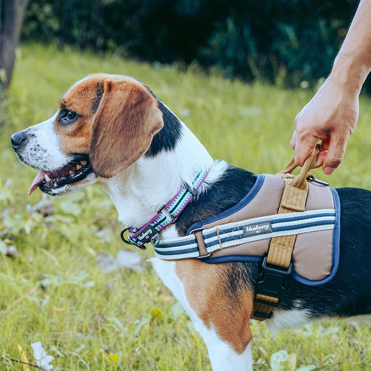Reflective Dog Collar N24320