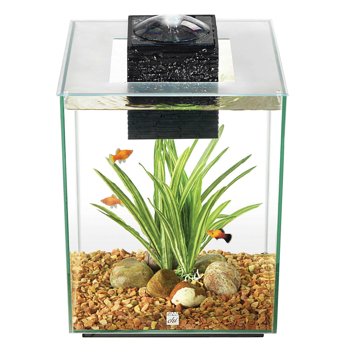 Pet Supplies F821