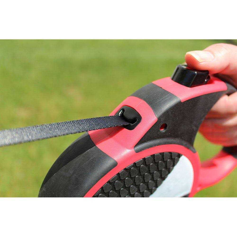 Retractable Dog Leash F974312