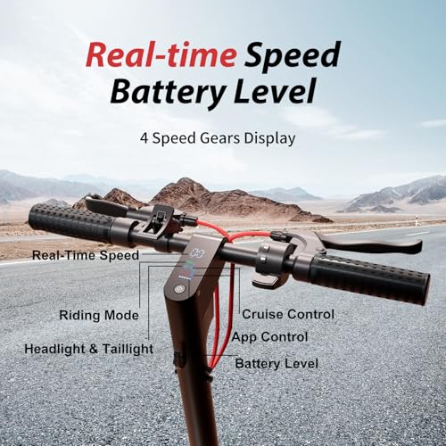 1000W Electric Scooter with 10" Off-Road Tires O24513