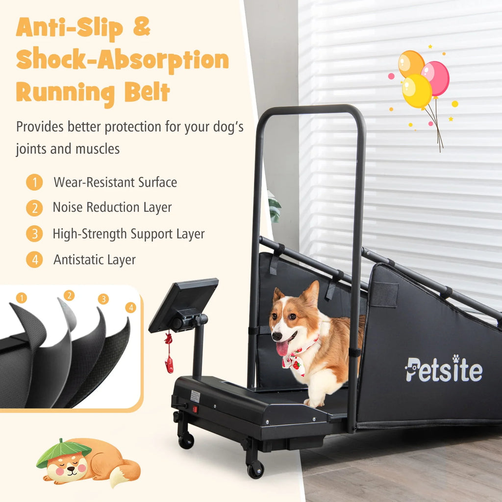 Dog Treadmill X760822