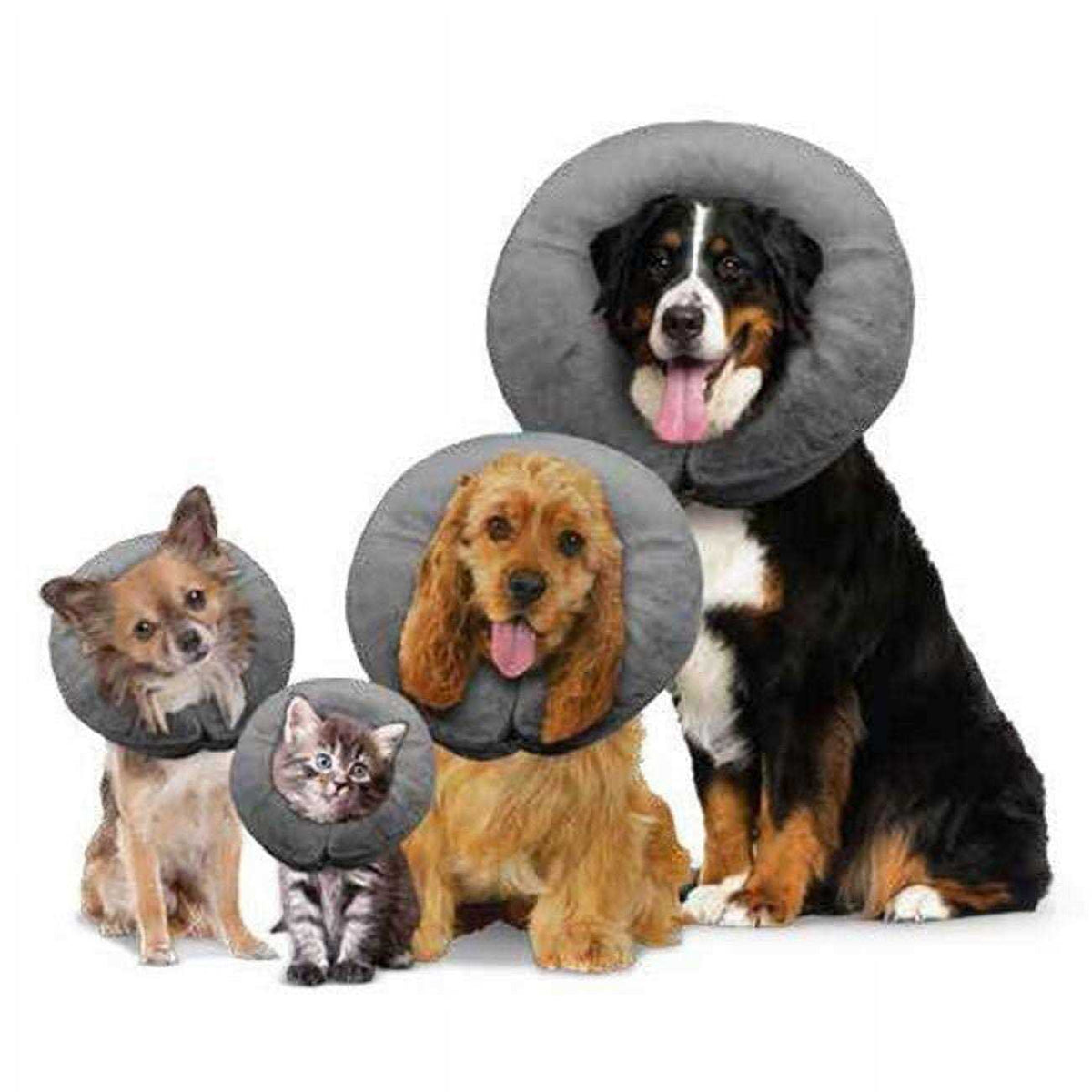 Pet Collar S7825