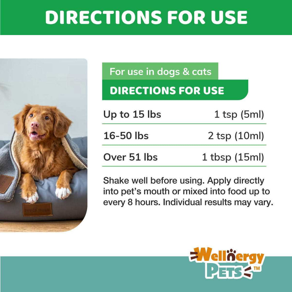 Anti-Diarrhea for Dogs and Cats with Syringe F7982
