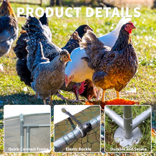 Large Metal Walk-in Chicken Coop with Anti-UV Cover Q867