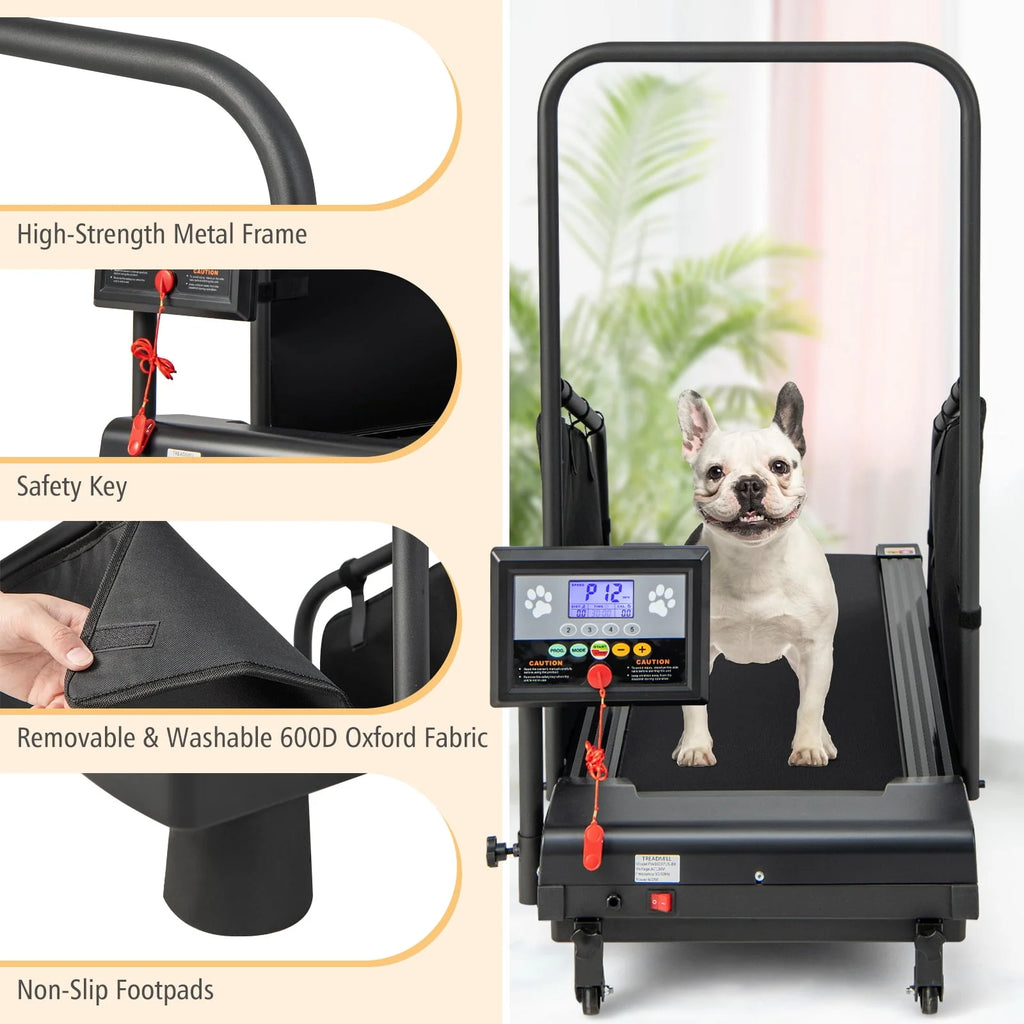 Dog Treadmill X760822