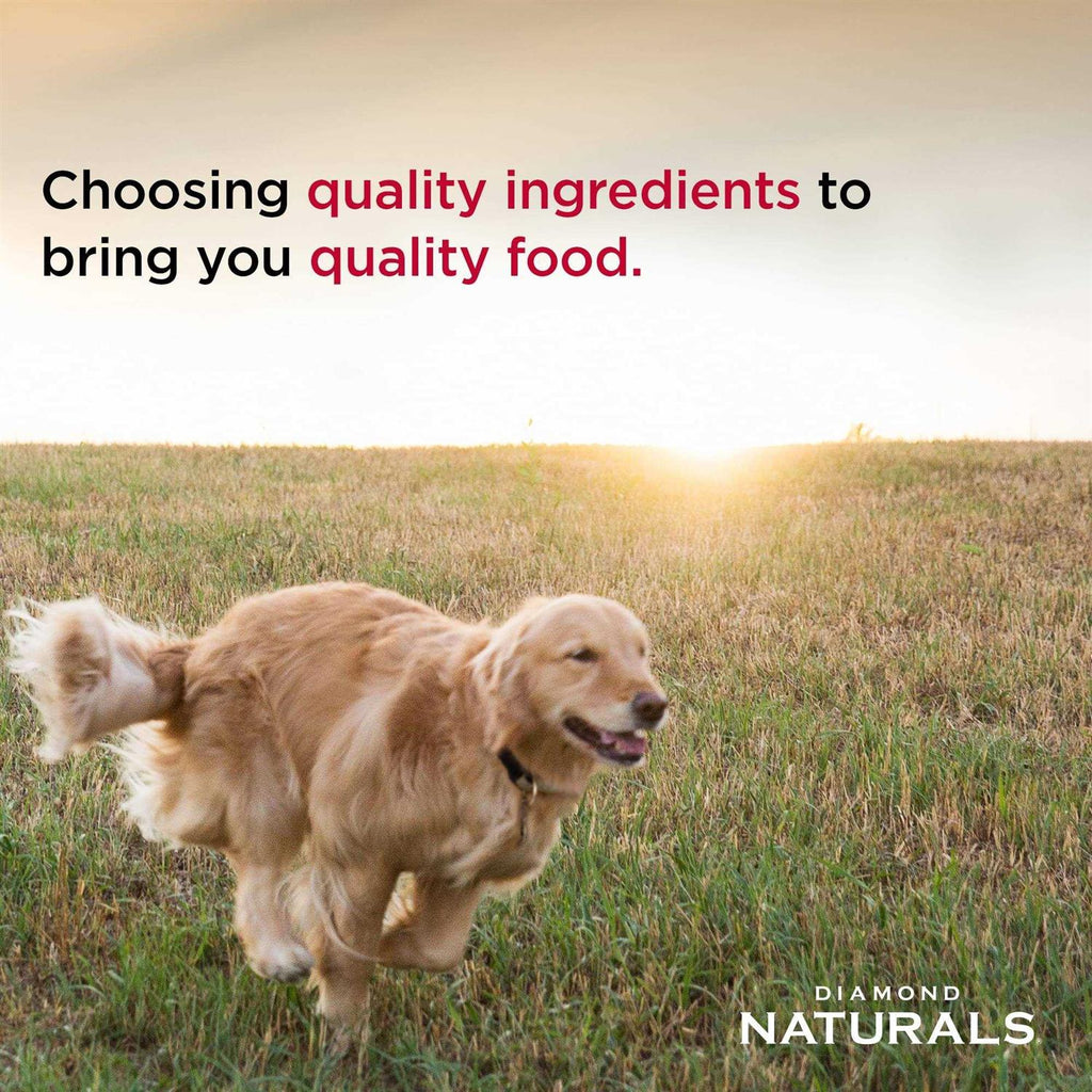Chicken Rice Dry Dog Food C57903
