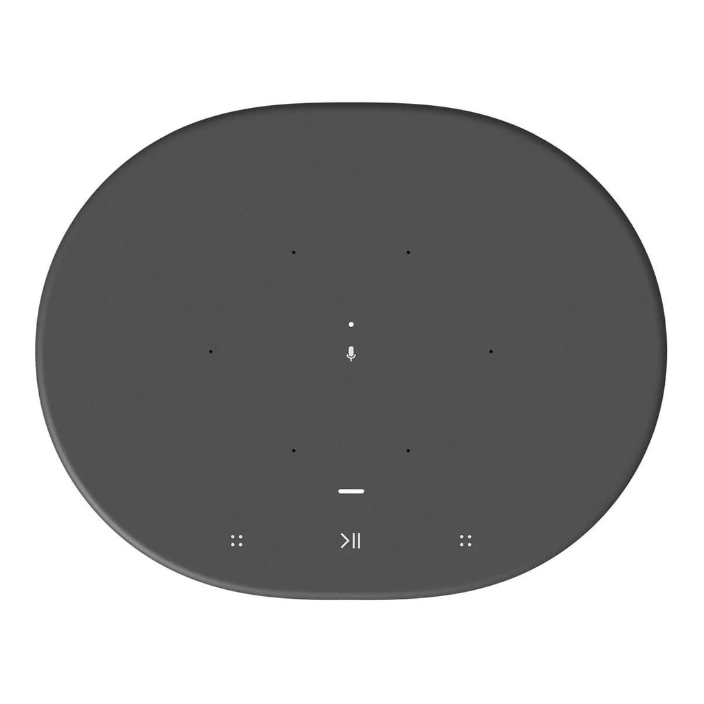 Portable Battery-Powered Bluetooth Wi-Fi Speaker J1552