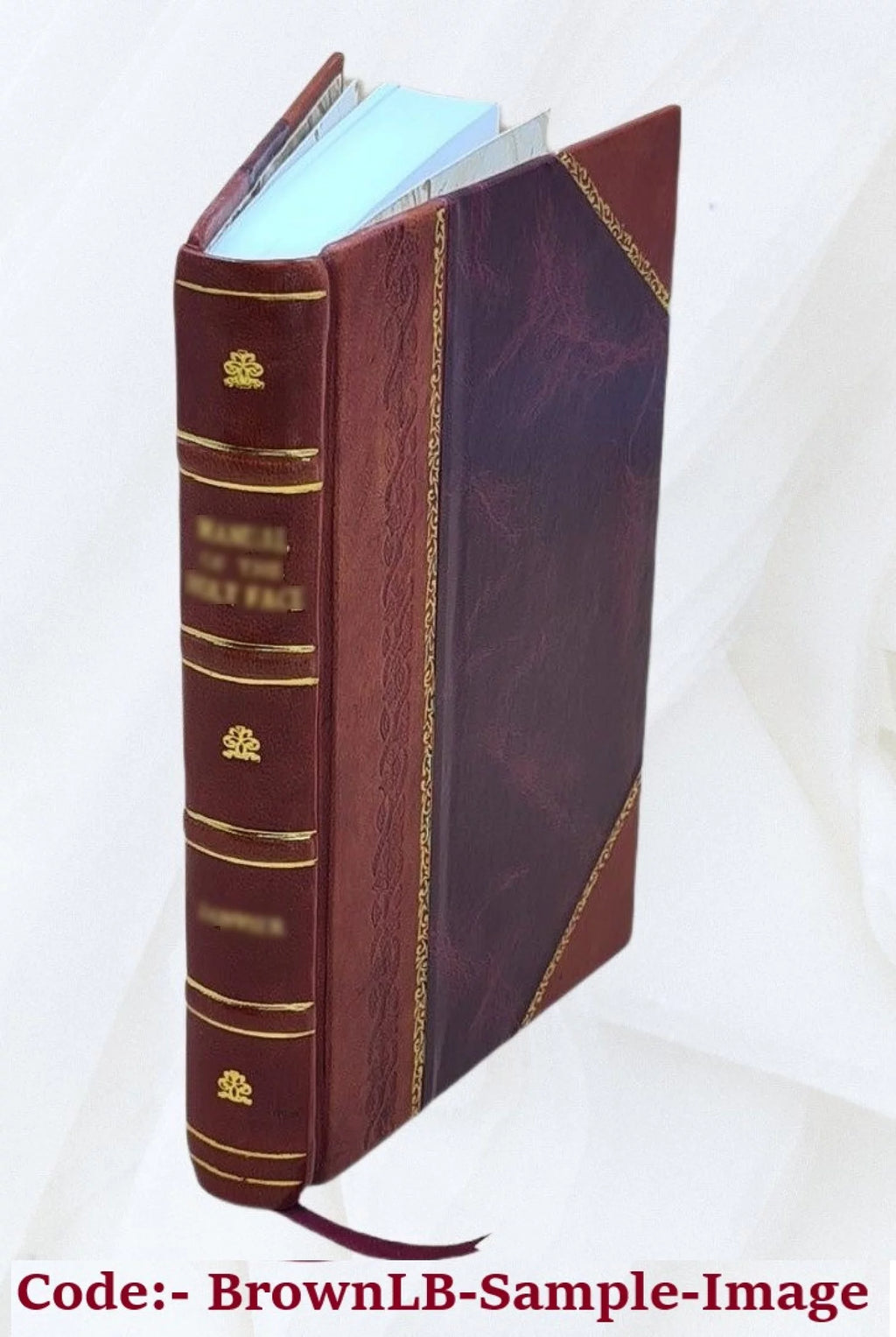 Science revived; or, The vision of Alfred. A poem in eight books S706756