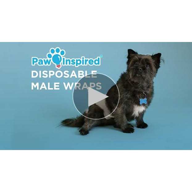 Disposable Belly Band Male Dog Wraps I789