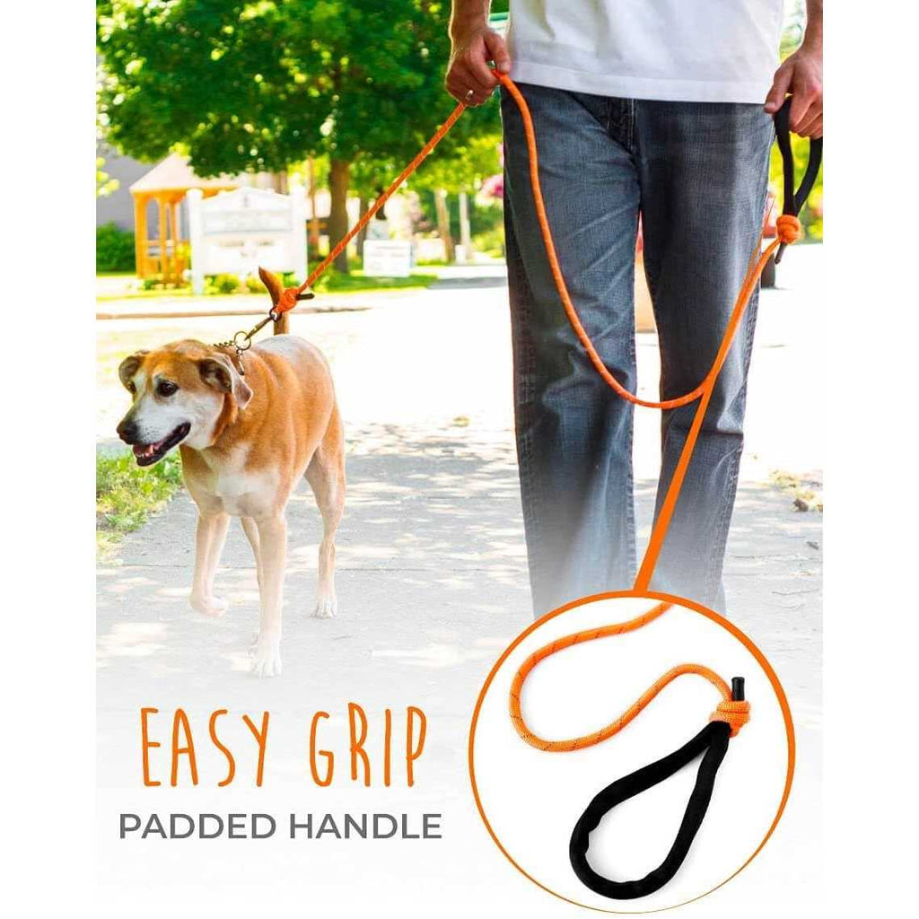 Rope Dog Leash H6437