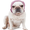 Dog Ear Cover for Bathing Drying and Grooming Y370