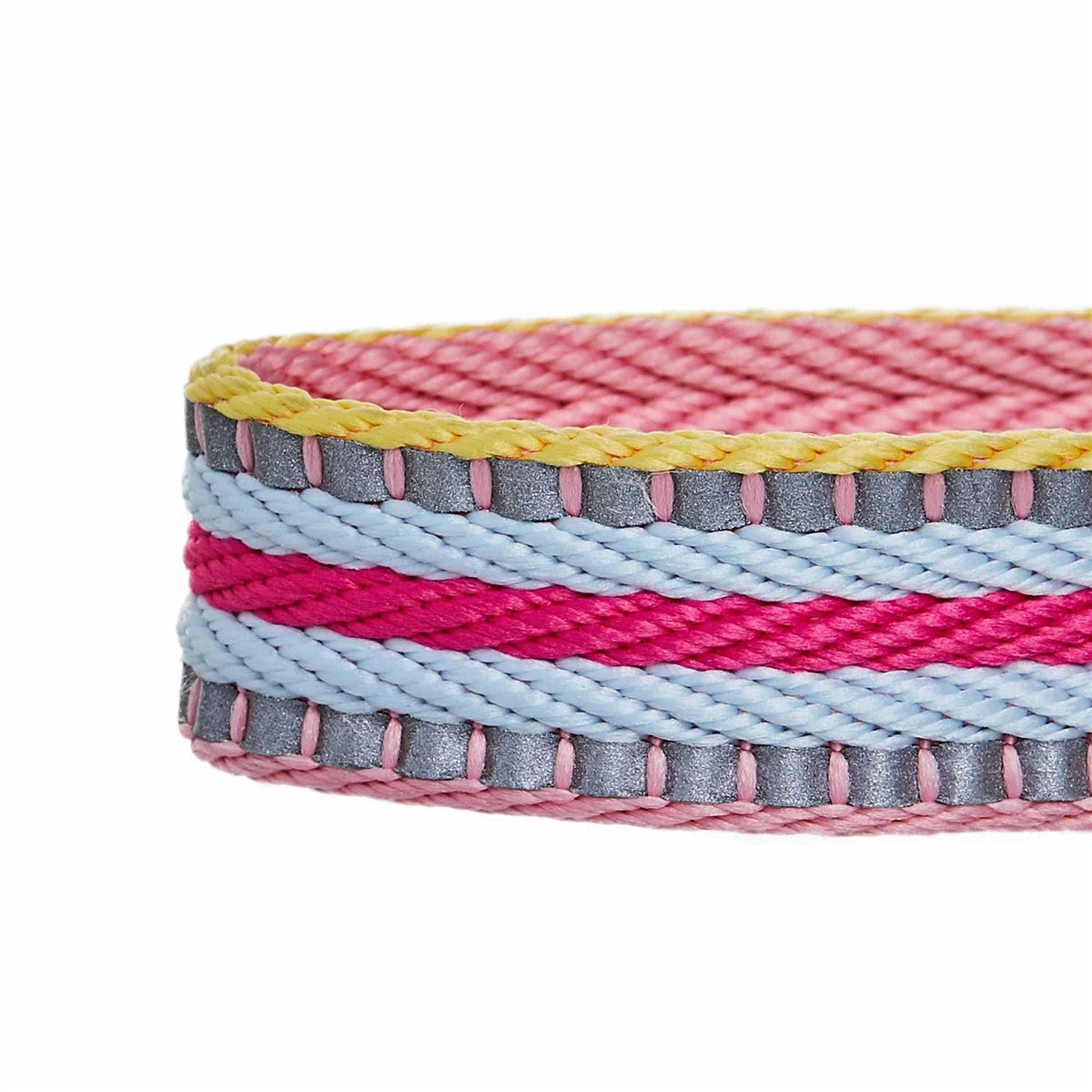 Reflective Dog Collar N24320