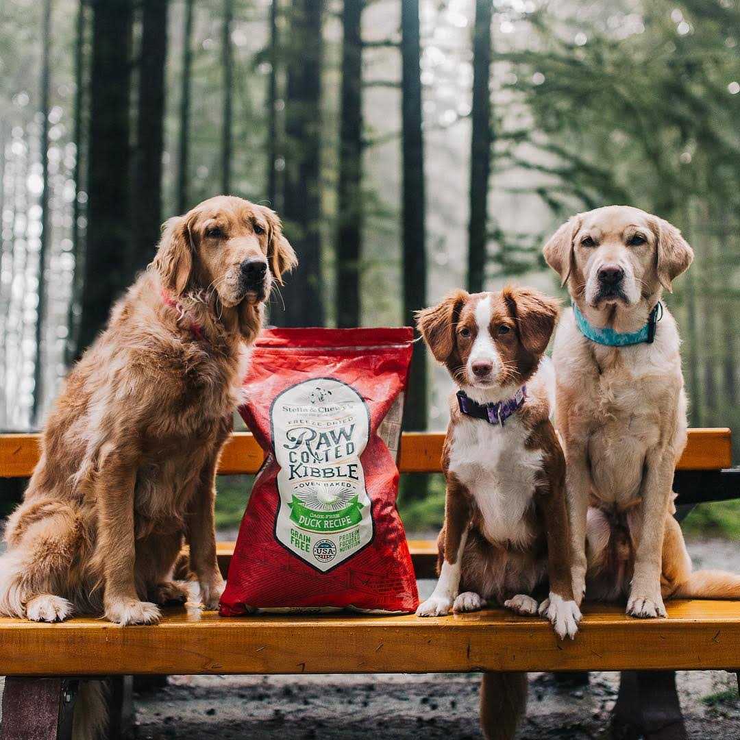 Duck Raw Coated Kibble Dog Food S3936