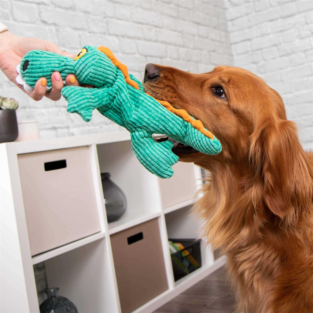 Plush Gator Dog Toy O26570